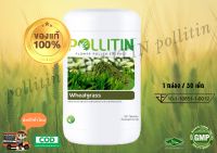 POLLITIN - Wheatgrass วีทกราท - CERNITIN พอลลิติน เซอร์นิติน