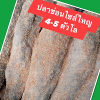 ปลาร้าปลาช่อนไซส์ใหญ่สิงห์บุรี 1 กก. 4-5 ตัว ใช้ทอด หลน สับ ไม่เค็มมาก ใหม่ หอมข้าวคั่ว มีหน้าร้าน พร้อมส่ง