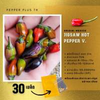 เมล็ดพันธุ์พริก Jigsaw Hot Pepper 30เมล็ด พริกด่าง สวยเผ็ด ทานได้ประดับได้