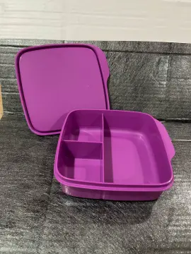 Tupperware Compartment Lunch Box 550 ml Purple and 1 l Green