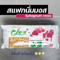 พร้อมส่ง ? สแฟกนั่มมอส sphagnum moss 12L เก็บความชื้นให้ต้นไม้