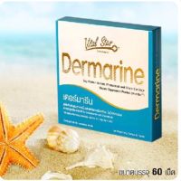 Aimstar/Dermarine เดอมารีน 60 เม็ด คอลลาเจนกระดูกอ่อนปลาฉลาม
เดอร์มารีน รวมสารสกัดที่มีส่วนช่วยในการชะลอความแก่ หรือ แอนตี้ เอจจิ้ง (Anti-aging) ไม่ว่าจะเป็นคอลลาเจนจากปลาทะเลน้ำลึก ไลโคปีนจากมะเขือเทศ โปรตีนสกัดจากถั่วเหลือง ไฟโตสเตรอล โคเอนไซม์คิวเท็น ซ