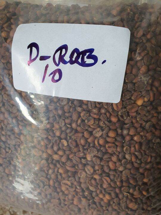ROBUSTA DECAF GREEN COFFEE BEANS 1KG Lazada PH