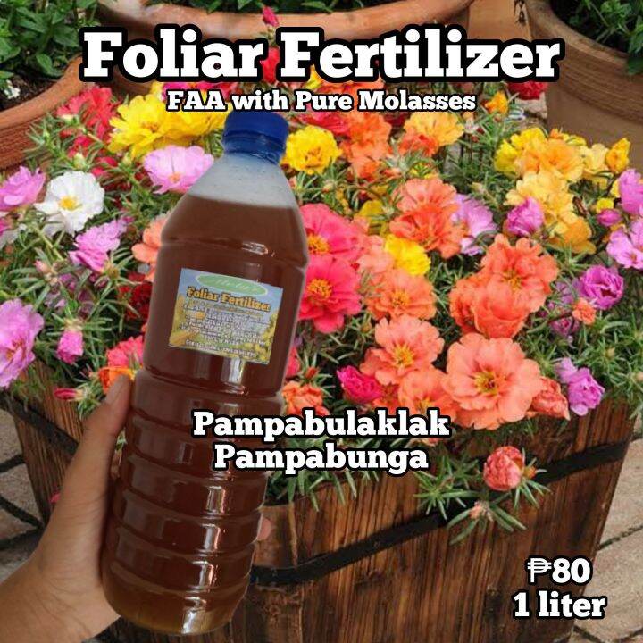 Fish Amino Acid(FAA) with Pure Molasses (1000ML) Foliar Fertilizer Lazada PH