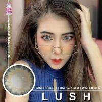 บิ๊กอายแฟชั่น Maldive /Lush สีเทาและสีน้ำตาล จนาด 14.5