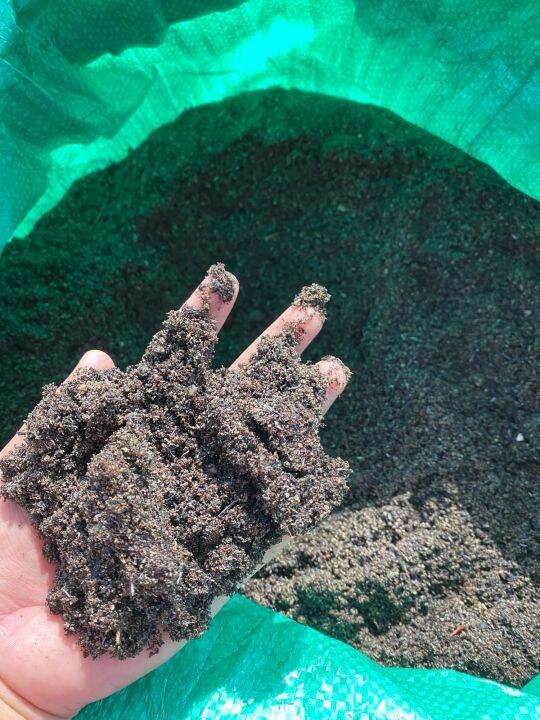 Potting Mix for Bougainvillea (Cocopeat, CRH, River Sand, Black soil
