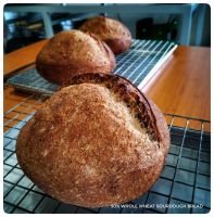 Whole wheat sourdough bread (50%) Pre-order​