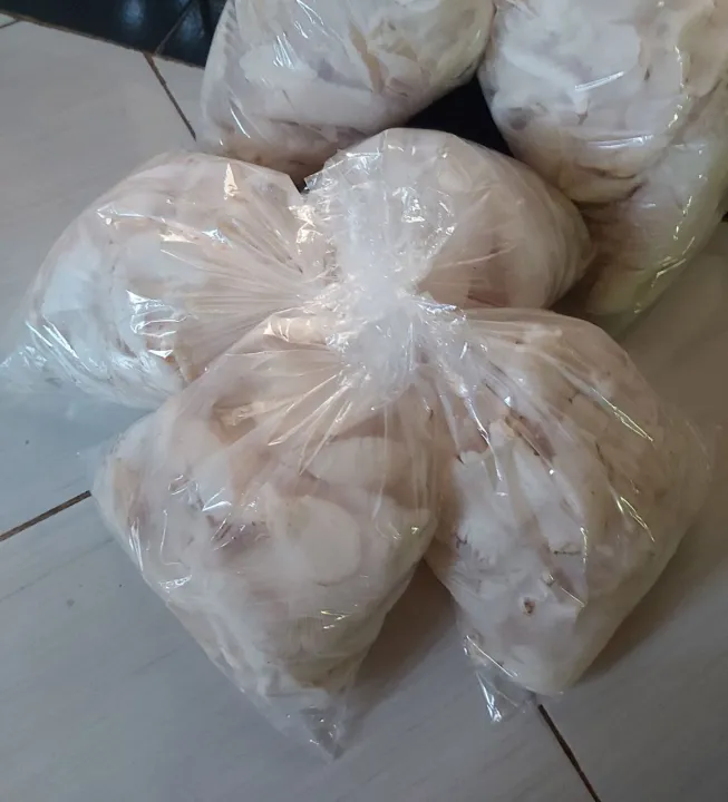 Jamur Tiram Putih Segar 2kg Lazada Indonesia