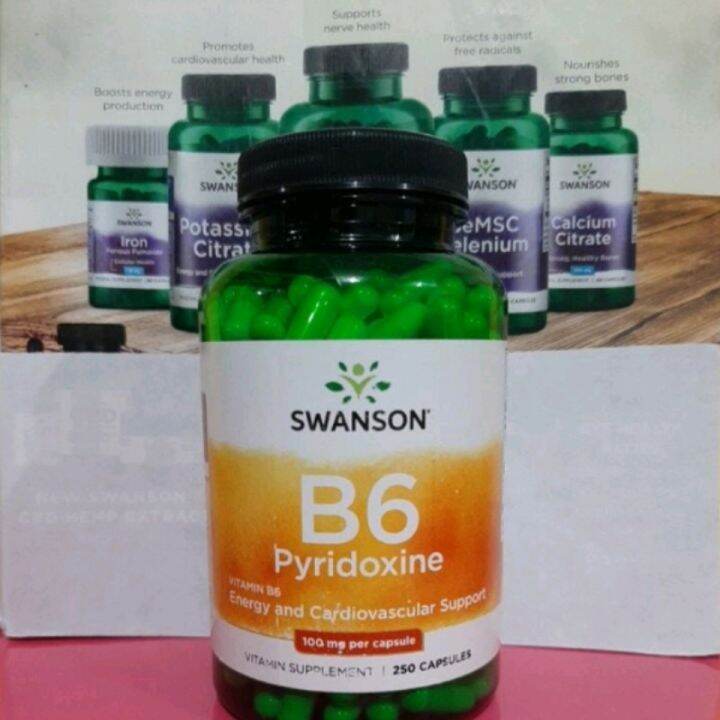 Vitamin B-6. 100mg. 250 Capsules Pyridoxine B6 Swanson | Lazada PH