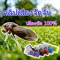 เสียงต่อ จั๊กจั่น แฟลชไดรฟ์ เสียงดี ชัดแจ๋ว100% เข้าแน่นอน