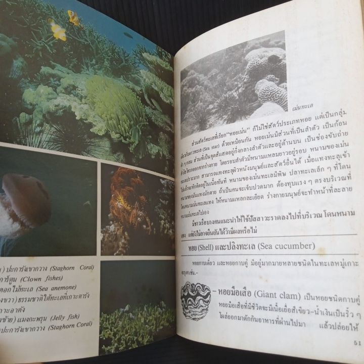 ตะรุเตา-หนังสือ-คู่มือท่องเที่ยวและอนุรักษ์ธรรมชาติ-82-หน้า-มีคราบเหลือง-ตามรูป