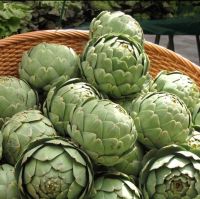 เมล็ดพันธุ์ อาติโช้ค สีเขียว (Green Globe Artichoke Seed) บรรจุ 5 เมล็ด