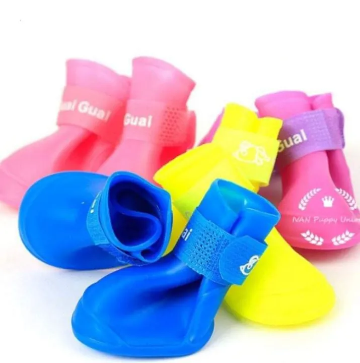 Jelly Shoes for dogs Lazada PH
