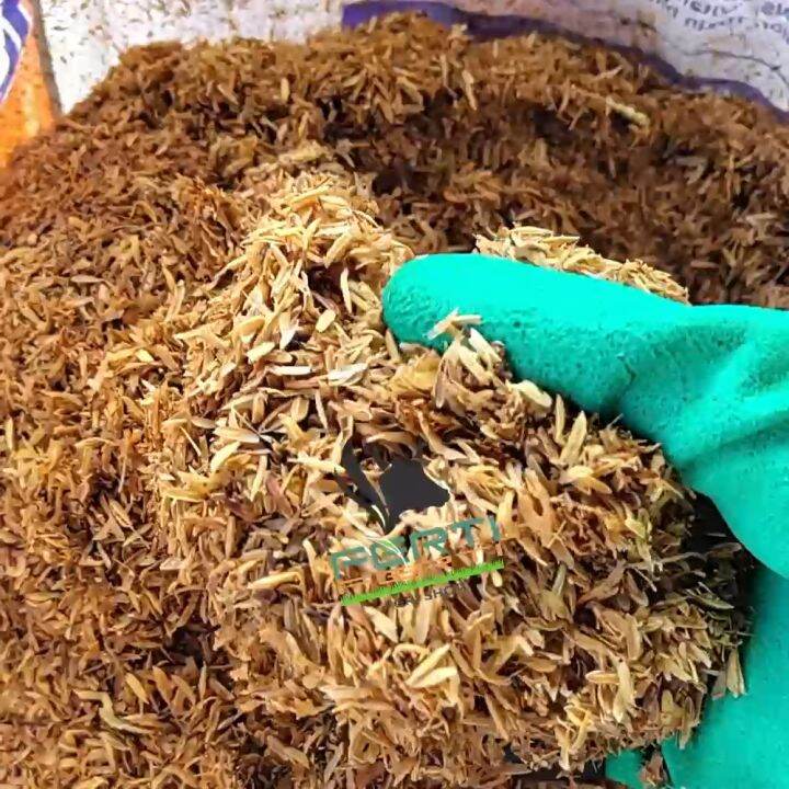 5KG Fresh Rice Hull / Fresh Ipa ng Palay Fertilizer Organic Soil