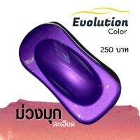 Evolutioncolor​  สีมุกม่วง  มุกละเอียดประกายสวยงาม พ่นง่าย เนื้อสีชัด