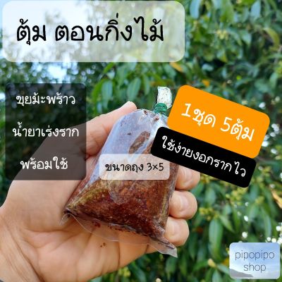 ตุ้มตอนกิ่ง  ตุ้มตอนกิ่งไม้ ตุ้มตอนกิ่งไม้ราคาถูก ตุ้มตอนกิ่ง ตุ้มตอนกิ่งไม้ ขนาด3×5  1ชุด 5ตุ้ม