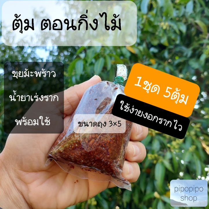 ตุ้มตอนกิ่ง-ตุ้มตอนกิ่งไม้-ตุ้มตอนกิ่งไม้ราคาถูก-ตุ้มตอนกิ่ง-ตุ้มตอนกิ่งไม้-ขนาด3-5-1ชุด-5ตุ้ม