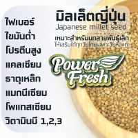 ?พร้อมส่ง? ?มิลเล็ตญี่ปุ่น Japanese Millet?