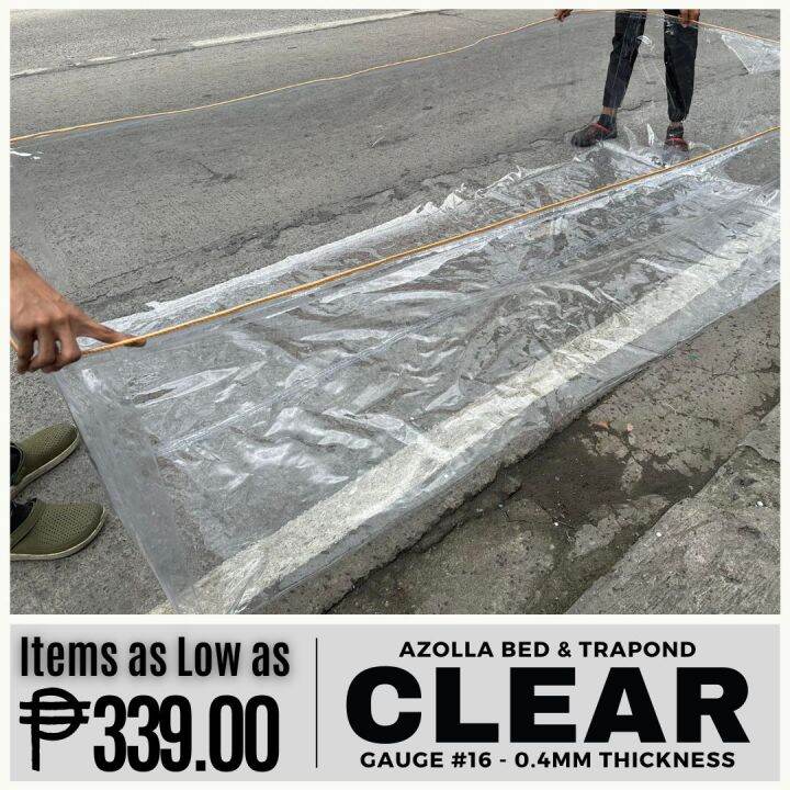 Trapond Frame 4x10x1ft WITH FREE ROPE TRANSPARENT AZOLLA BEDS GAUGE#16 AND AZOLLA ...