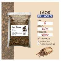 สารกาแฟ (1 kg) Arabica Laos อาราบิก้าลาว เมล็ดกาแฟดิบ Pumirak_Coffee.Beans