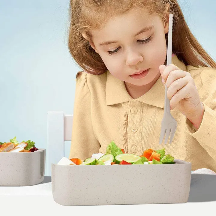 Japanese Lunch Box with Dividers 900 ml - Leakproof Eco lunchbox for
