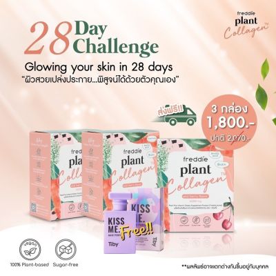 ✨🥕คอลลาเจนจากพืช 100% Freddie Plant Collagen เซต x3 กล่อง