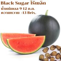 เมล็ดพันธุ์ แตงโมดำ ไร้เมล็ด 25 เมล็ดBlack Sugar ไร้เมล็ด F1ศึกษาวิธีปลูกได้รายละเอียดสินค้า