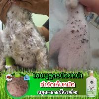 แชมพูหมา แมว กำจัดเห็บหมัด หมาแมว 250 ml