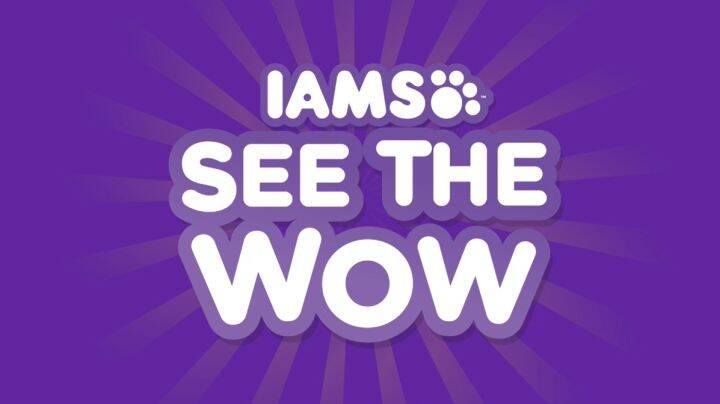 IAMS ไอแอมส์ โปรแอคทีฟ เฮลท์ อาหารแมวพรีเมียม – อาหารเม็ดแมว สูตรแม่และ ...