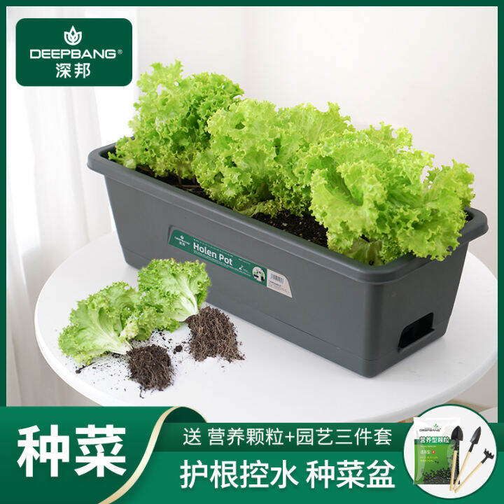 Strawberry Flower Pot Balcony Planting Basin Rectangular Plastic ...