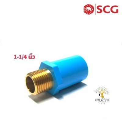 SCG ต่อตรงเกลียวนอก ทองเหลือง (Brass Valve Socket) ท่อหนา อุปกรณ์ท่อประปา PVC สีฟ้า ขนาด 1-1/4 นิ้ว