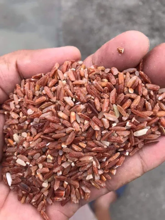 Red Rice (25kg) Lazada PH