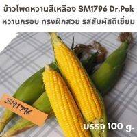 [100 กรัม] เมล็ดข้าวโพดหวาน SM1796 ด๊อกเตอร์เป๊ก สีเหลืองสด เมล็ดร่อน ฝักทรงกระบอก รสชาติหวานกรอบ