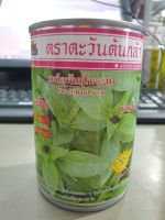 โหระพา บางซื่อ 20 กรัม ตะวันต้นกล้า