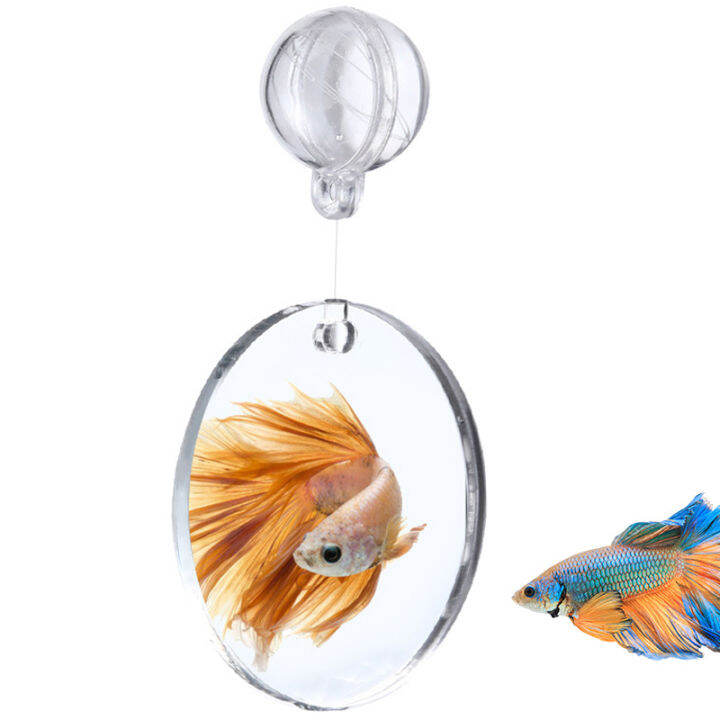 Aquarium Betta Training Mirror Acrylic Floating Mirror For Fish Tank
