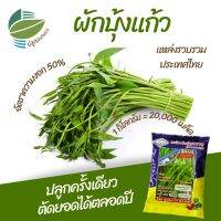 เมล็ดพันธุ์ ผักบุ้งแก้ว 1 กิโลกรัม ตรา สามเอ