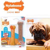 Nylabone Power Chew Puppy ของเล่นขัดฟัน