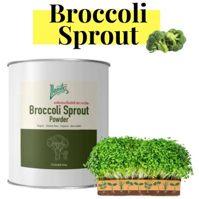 💥Broccoli Sprout Powder organic  💯% ขนาด 250 กรัม ผงต้นอ่อนบร็อคโคลี่ ผงบร็อคโคลี่ บล็อคโคลี่ผง ออแกนิค คัดคุณภาพ