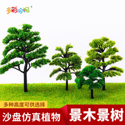 วิวไม้ภูมิทัศน์สวนรูปแบบทรายต้นไม้ภูมิทัศน์ขนาดเล็กต้นไม้แบบจำลองต้นไม้สภาพแวดล้อมต้นไม้