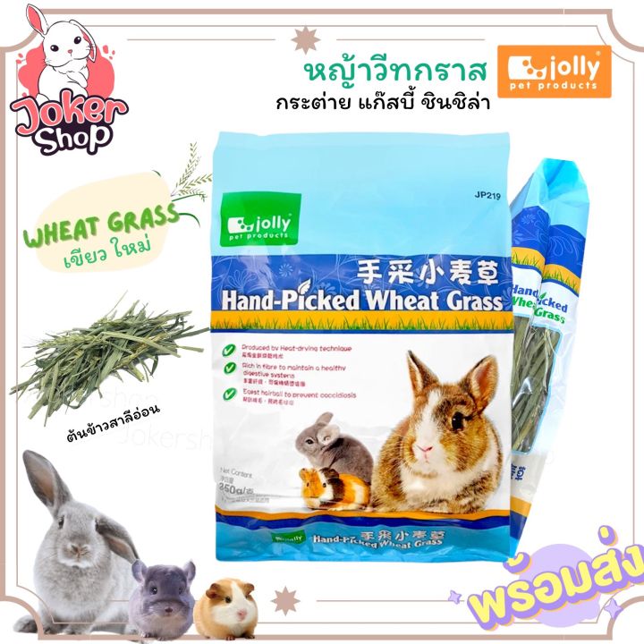 lot-ใหม่ล่าสุดค่ะ-หญ้าวีทกราส-wheat-grass-สำหรับกระต่าย-แก๊สบี้-ชินชิล่า-350-เขียว-ใหม่