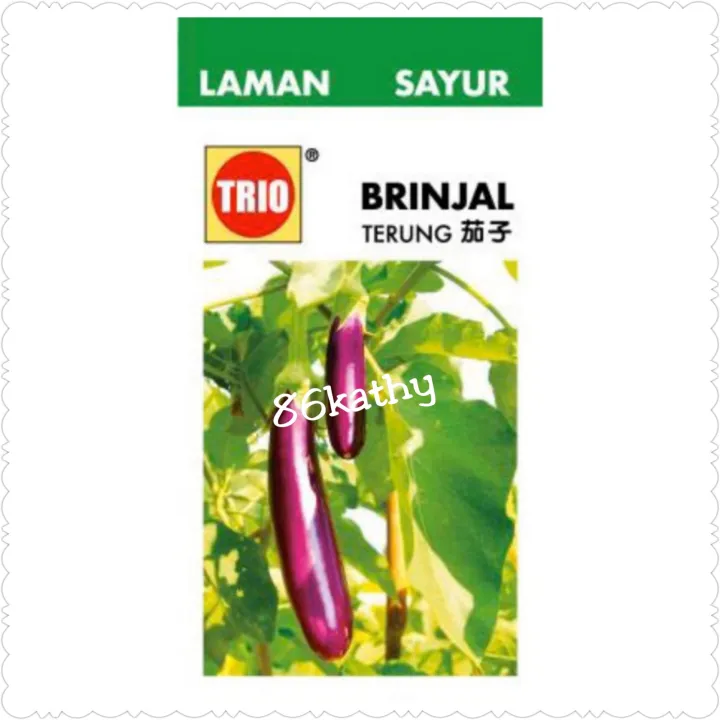 Trio Purple Long Brinjal Seed Biji Benih Terung Ungu Panjang Lazada