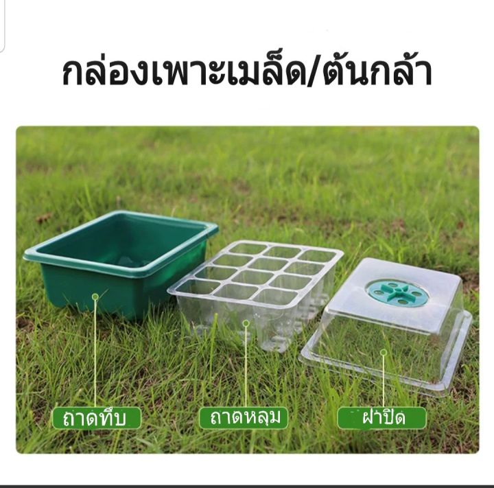 ซื้อ-2-กล่อง-แถมฟรี-เมล็ดยิมโนด่าง-กล่องเพาะเมล็ด-กล่องเพาะเมล็ดจิ๋ว-ชุดเพาะเมล็ด-ถาดเพาะเมล็ด-คุมความชื้น-ต้นอ่อน-แคดตัส-กระบองเพชร