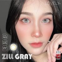 คอนแทคเลนส์แฟชั่นลาย Zill