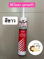 ซิลิโคลน อุดรอยรั่ว Silicone