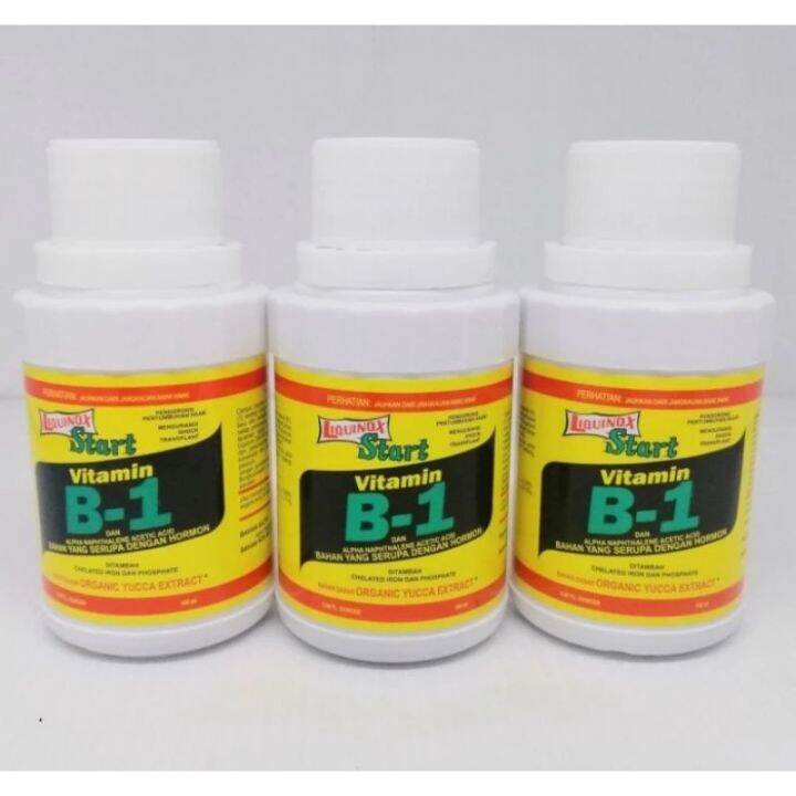 Vitamin B1 Untuk Akar Dan Tanaman Langsung Segar | Lazada Indonesia