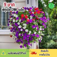 ถูกที่สุด 9 บาท เมล็ดพันธุ์ดอกพิทูเนียคละสี บรรจุ 200 เมล็ด