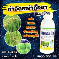 โกลอะนิล ขนาด 500 ซีซี ? อะนิโลฟอส โฟนิฟอส 30 ✴️ กำจัดหญ้าดื้อยา หญ้าดอกขาวหญ้าข้าวนก กระดูกไก่