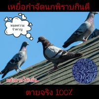 ยากำจัดนกพิราบ เหยื่อกำจัดนกทุกชนิด แค่โปรย ตายจริงเห็นผล100% 1กระปุก ขนาด 100กรัม รับสั่งก่อนของหมด!