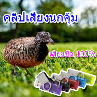 เสียงต่อ นกคุ้ม  แฟลชไดรฟ์ เสียงดี ชัดแจ๋ว100% เข้าแน่นอน