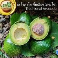 อะโวคาโด?พื้นเมืองคละไซส์?สินค้าหมด/ So out?1 กิโลกรัม(5-6ลูก)/Avocado original 1kg/5-6 results.